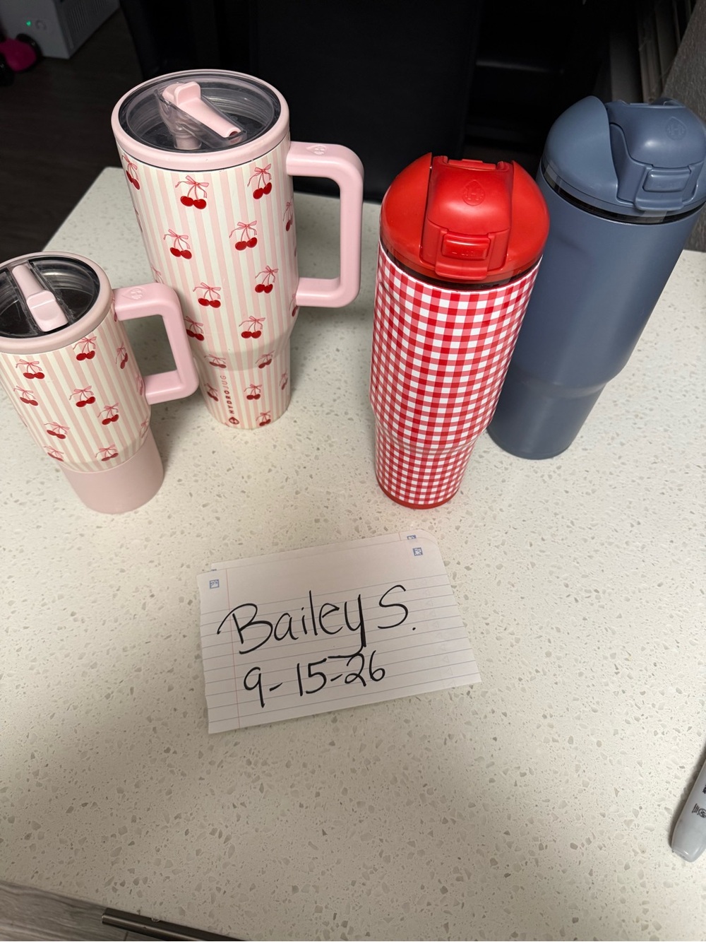 HydroJug Pink Cherry & Red Gingham Insulated Travel Tumblers
